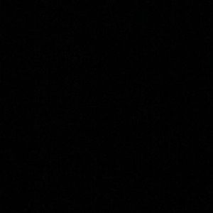 Meet your Posher, Tanner